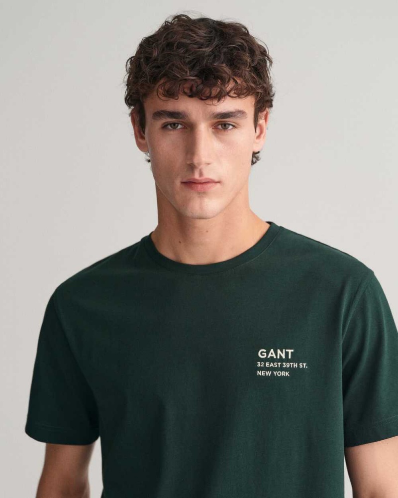 Gant Small GANT Graphic Men's T-Shirt Tartan Green | SFNGW-3786